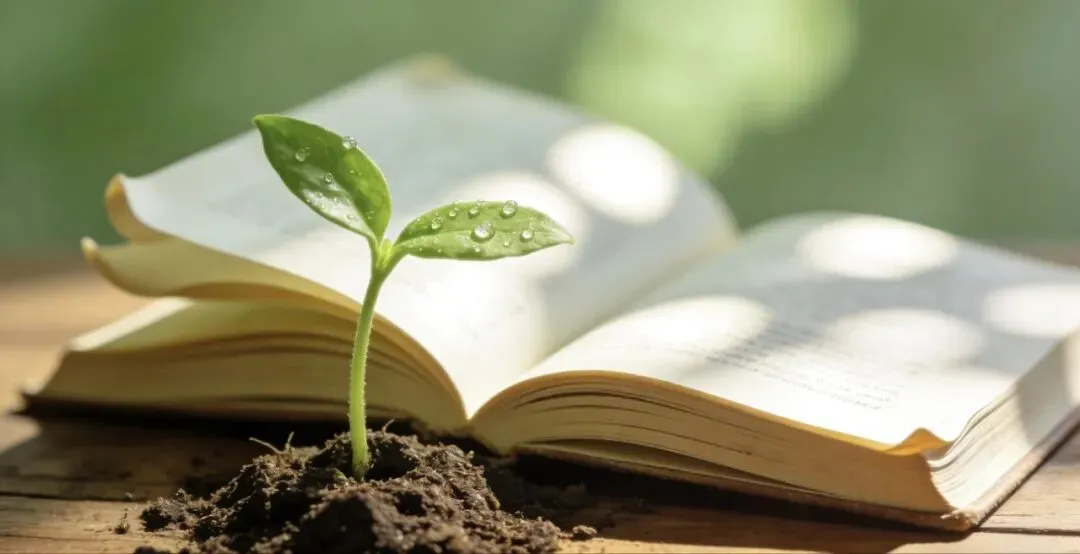 每日一篇中考范文|成长,是破茧成蝶的力量 第1张