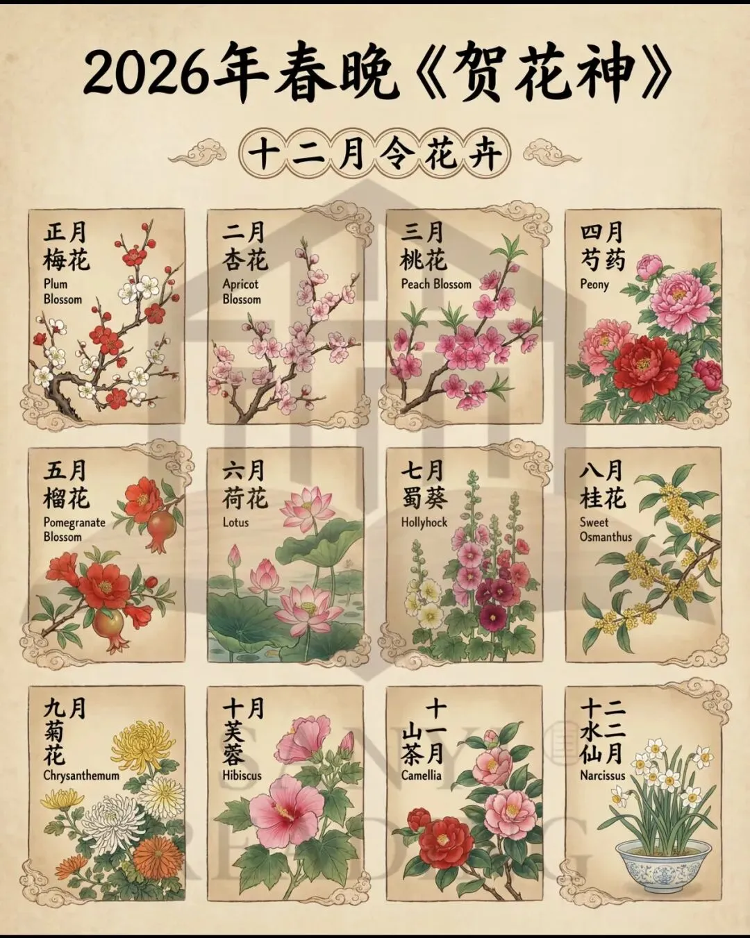 春晚《贺花神》绝美出圈!初三中考英语专属练手卷(含阅读+选词填空,可直接打印) 第3张