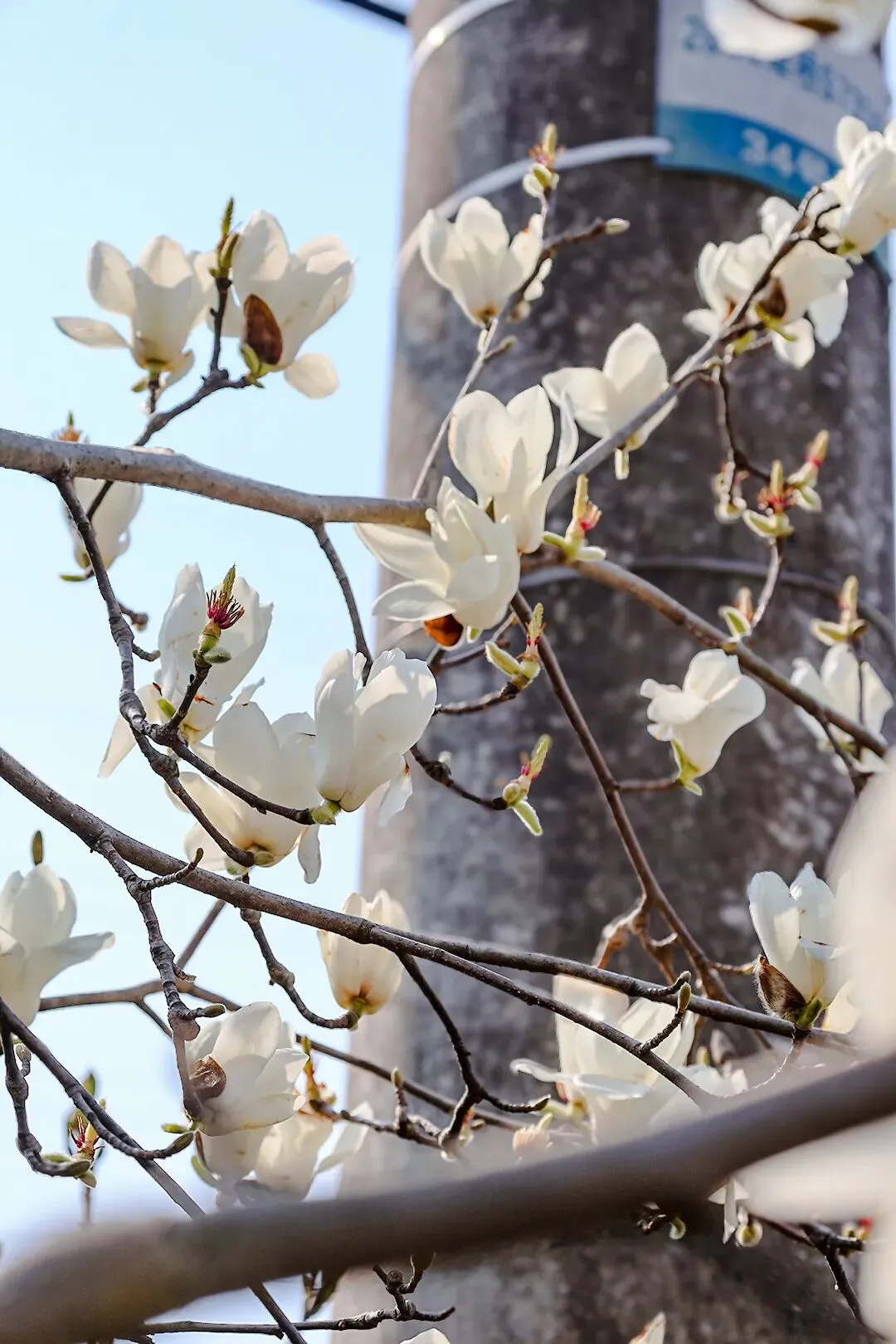 决战中考:初三下学期“逆袭”全攻略,每一科都该这么学! 第5张 决战中考:初三下学期“逆袭”全攻略,每一科都该这么学! 第5张