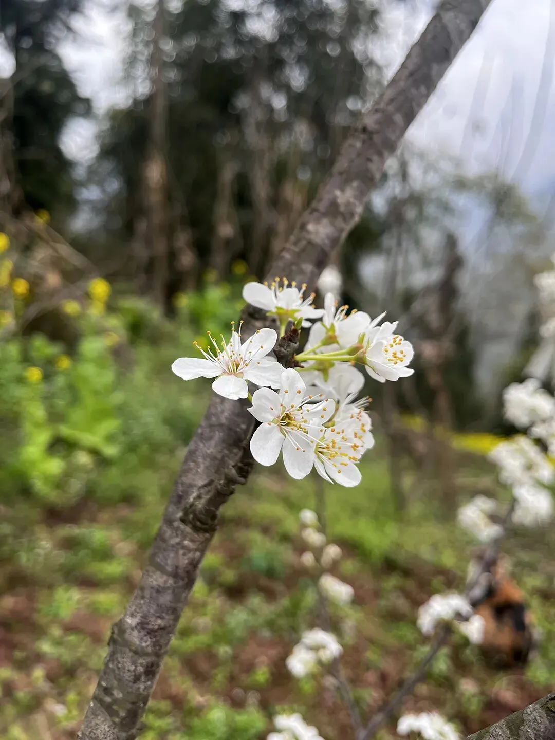 决战中考:初三下学期“逆袭”全攻略,每一科都该这么学! 第6张 决战中考:初三下学期“逆袭”全攻略,每一科都该这么学! 第6张