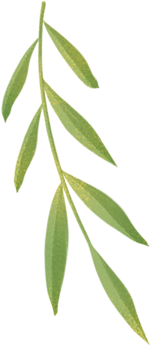 精准复盘明方向 凝心聚力战中考——文献中学召开九年级期末考试质量分析会 第5张