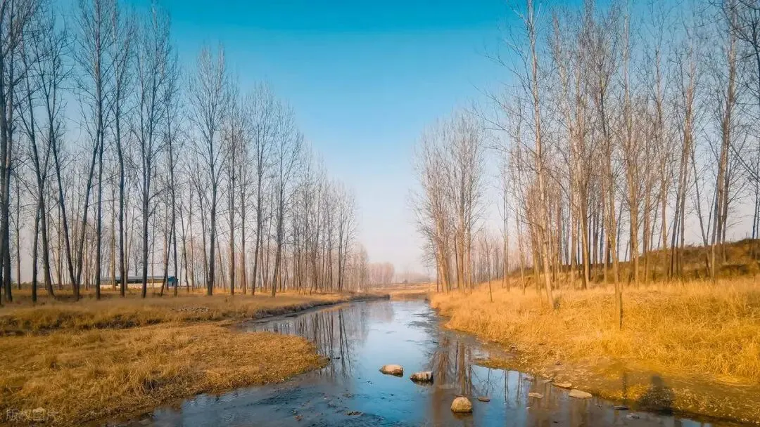 【中考阅读指导】河流是村庄的秘史(高卫国)四川成都2025 第4张 【中考阅读指导】河流是村庄的秘史(高卫国)四川成都2025 第4张