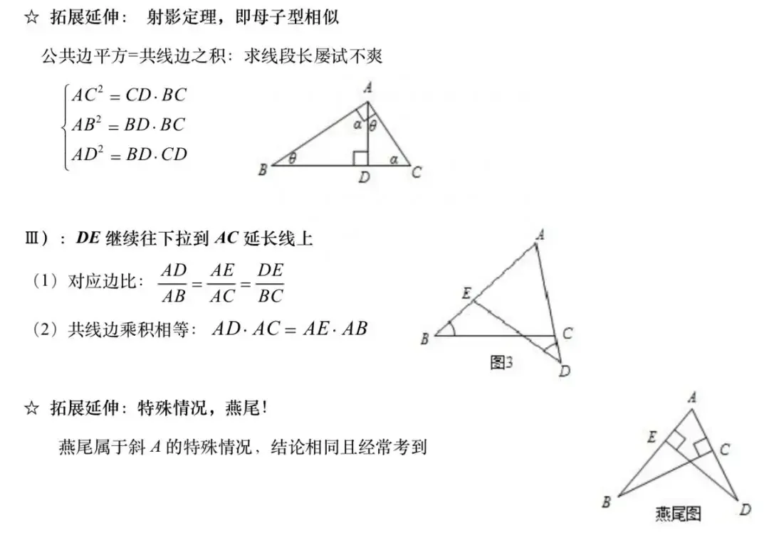 中考数学重要考点【相似模型】汇总 第5张