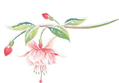 2026河南中考语文文学文化常识专项复习 第1张