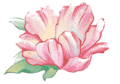 2026河南中考语文文学文化常识专项复习 第24张