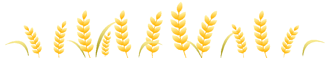 2026河南中考语文文学文化常识专项复习 第55张