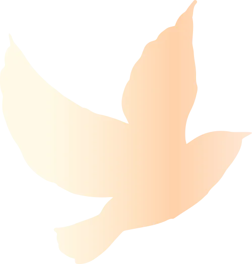 三人行美术教育|2026年中考美术特长生招生简章 第31张