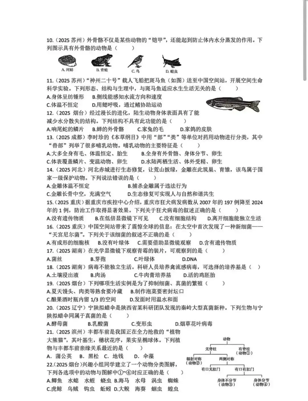 中考复习卷:学习主题二生物的多样性检测题(中考真题,后附答案) 第3张