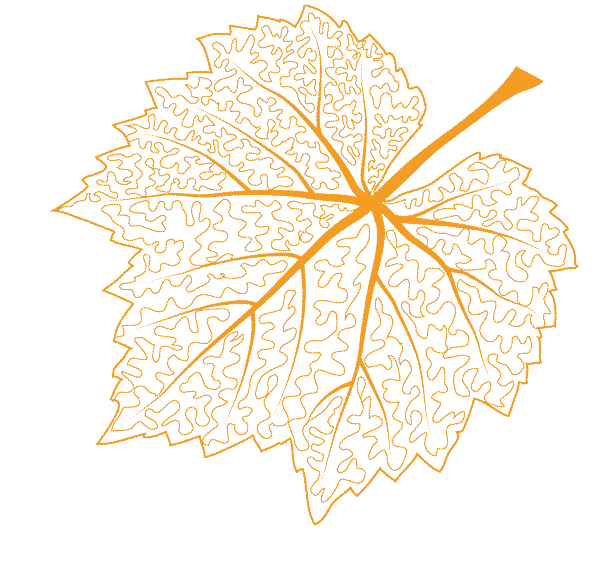 2026年春季8-9年级中考复习用书预售开始啦! 第3张 2026年春季8-9年级中考复习用书预售开始啦! 第3张