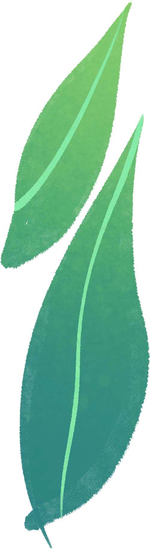 2026年春季8-9年级中考复习用书预售开始啦! 第9张 2026年春季8-9年级中考复习用书预售开始啦! 第9张