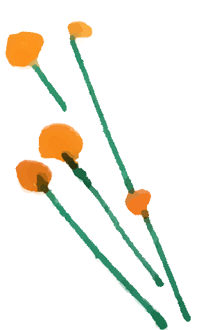 2026年春季8-9年级中考复习用书预售开始啦! 第10张 2026年春季8-9年级中考复习用书预售开始啦! 第10张