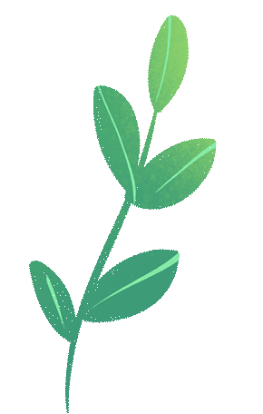 2026年春季8-9年级中考复习用书预售开始啦! 第21张 2026年春季8-9年级中考复习用书预售开始啦! 第21张