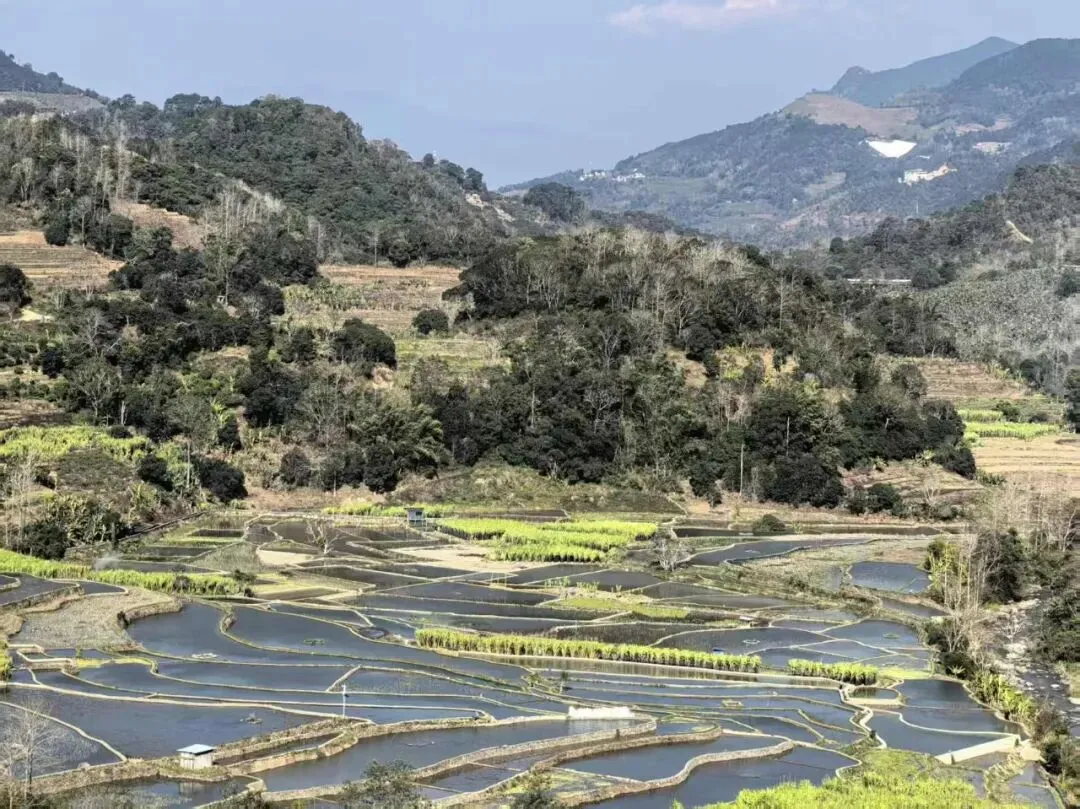 中考范文之一----写给十年后的自己 第1张