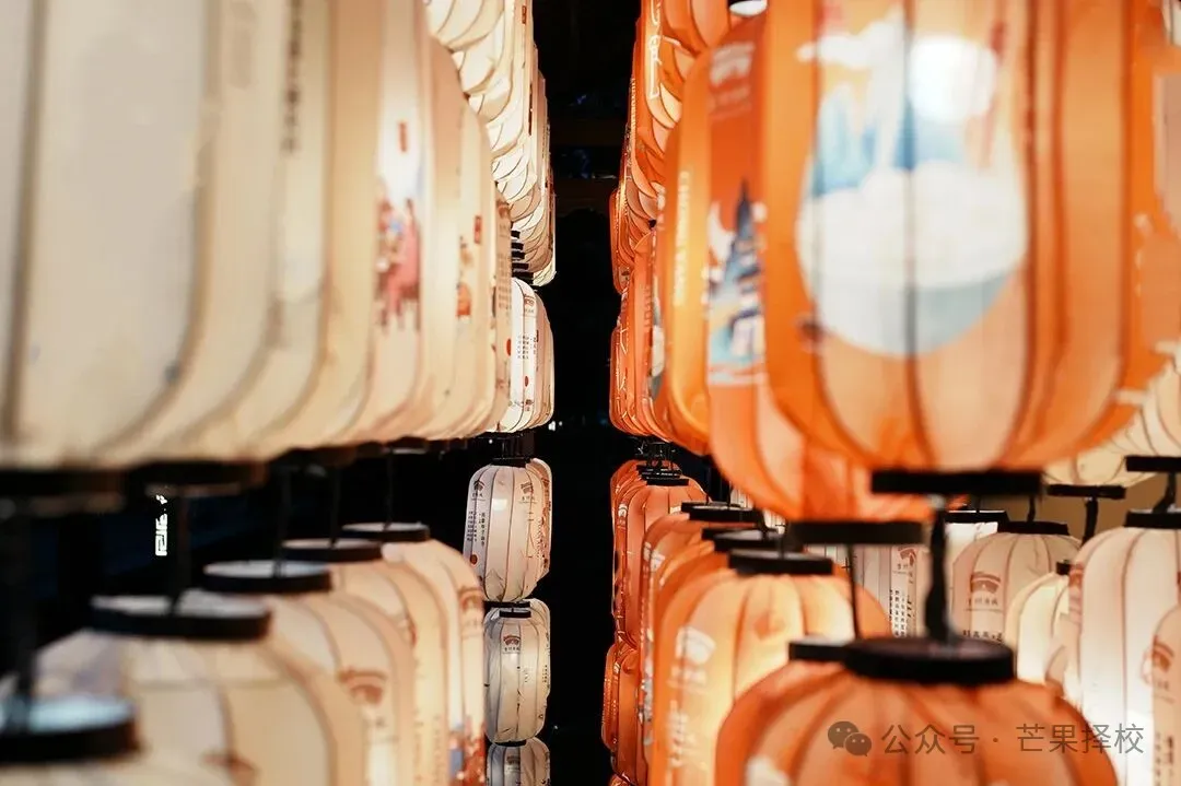 2026 上海中考二模分层备考 + 多元升学全指南(体制内 / 体制外 开大附中) 第4张