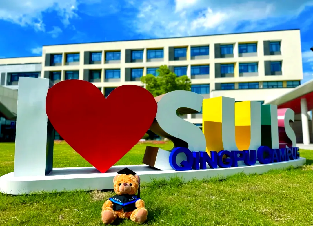 2026 上海中考二模分层备考 + 多元升学全指南(体制内 / 体制外 开大附中) 第19张