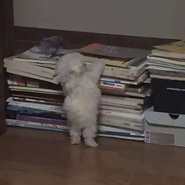 中考英语作文最能加分的100个好句(含译文),用好一定高分! 第2张 中考英语作文最能加分的100个好句(含译文),用好一定高分! 第2张