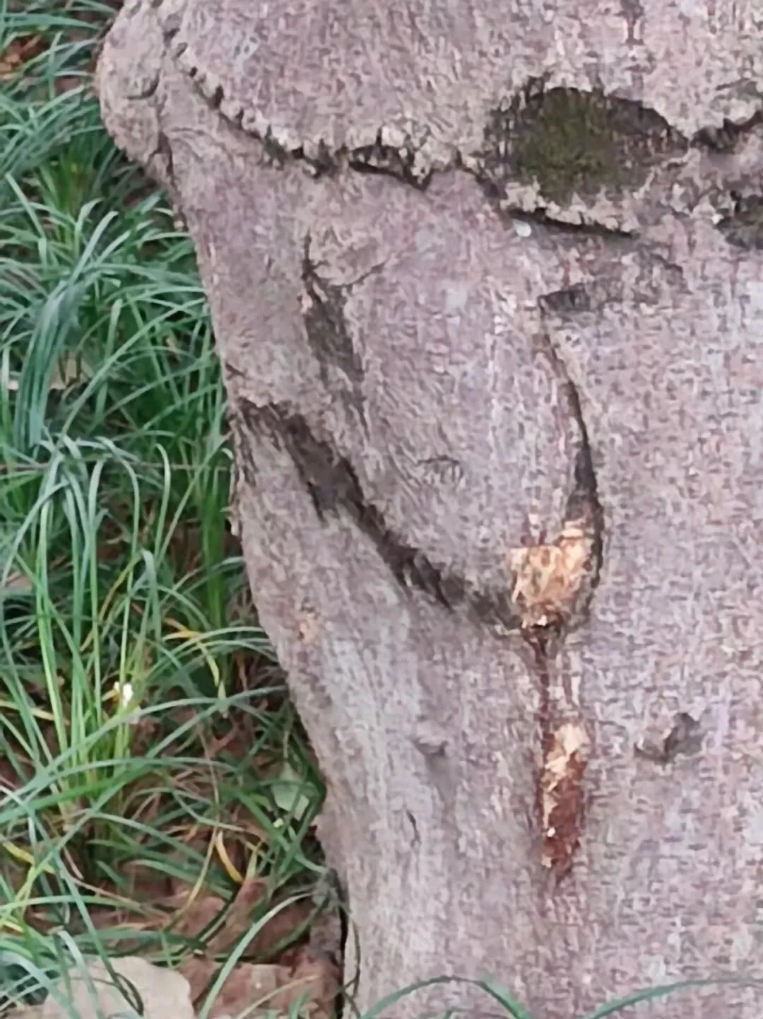 如何搞定最难搞定的中考数学动点与最值问题 第1张