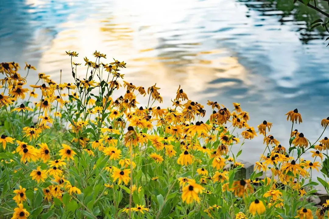 教学教研|中考作文破题“三招”说课稿 第5张