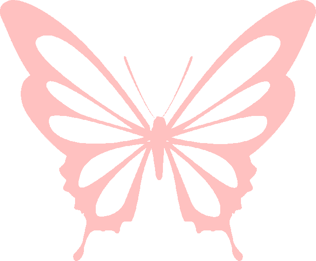 初中地理 中考地理状元笔记(132页).pdf 第13张