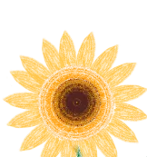 热辣滚烫战百日 飞驰人生赢中考 ——高桥中学九年级中考百日誓师大会 第2张 热辣滚烫战百日 飞驰人生赢中考 ——高桥中学九年级中考百日誓师大会 第2张