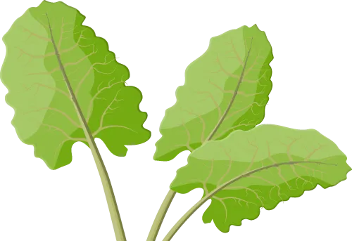 2026春 53初中同步5年中考3年模拟 英语沪教牛津版 七八九年级下册 含吃透重难点+教材答案+答案解析 第25张 2026春 53初中同步5年中考3年模拟 英语沪教牛津版 七八九年级下册 含吃透重难点+教材答案+答案解析 第25张