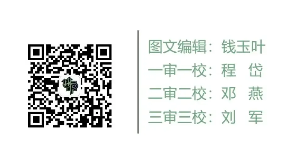 【家长必看】兰州2026年中考体育政策深度解读 第17张
