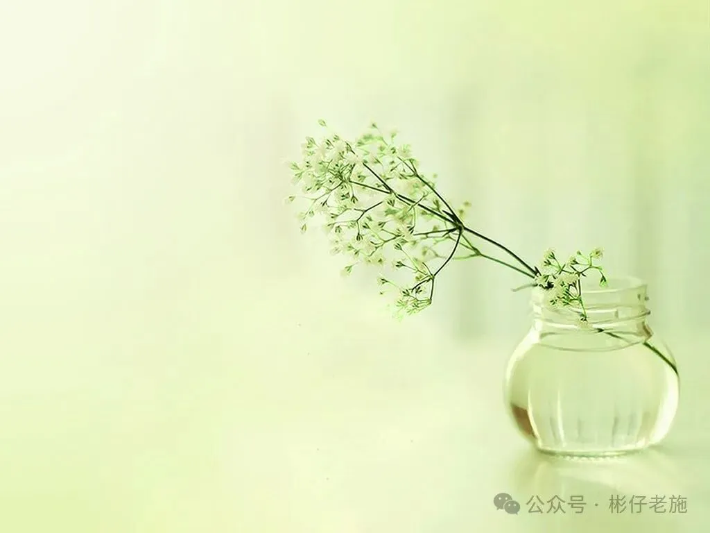 中考真题:一样的笑容,不一样的我1 第3张 中考真题:一样的笑容,不一样的我1 第3张