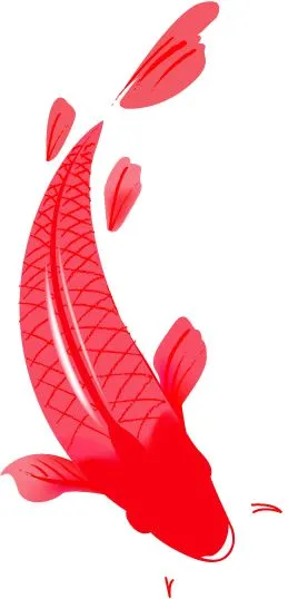 刚刚!2026年厦门中考招生方案公布! 第11张 刚刚!2026年厦门中考招生方案公布! 第11张