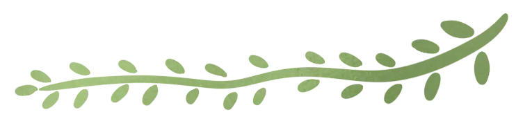 赵伟鹏丨2024濮阳中考一模试卷分析 第10张