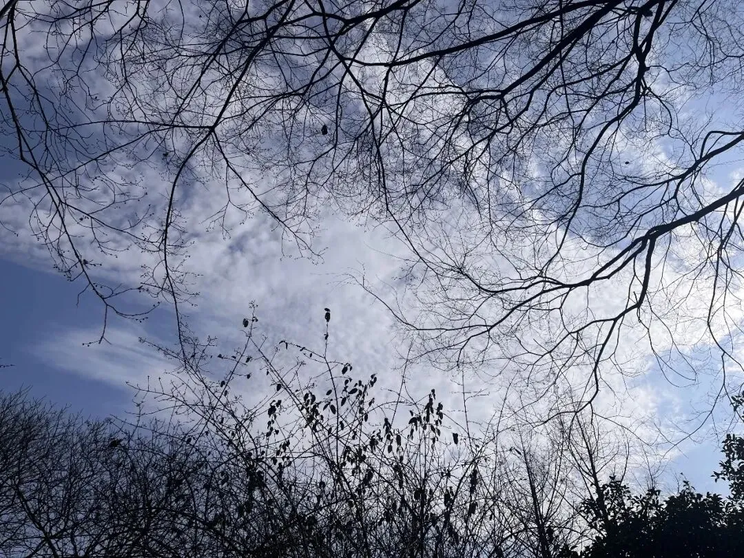 纯真年代:走路40分钟读初中,睡地铺迎中考 第1张