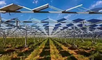 中考复习——矛盾句 专题练习2025 第1张