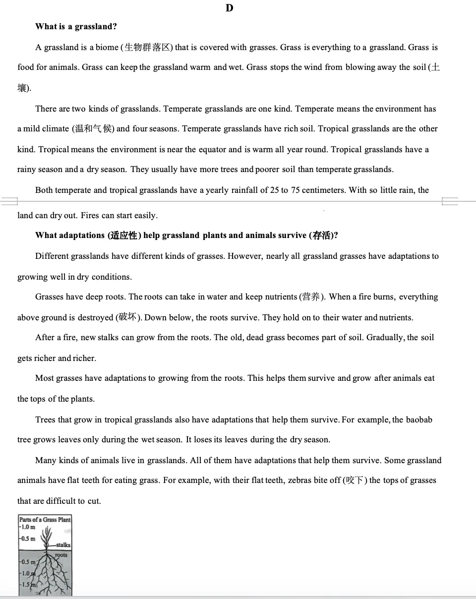 教学手记:2025东营中考D篇真题解析——兼谈阅读策略的培养路径 第1张 教学手记:2025东营中考D篇真题解析——兼谈阅读策略的培养路径 第1张