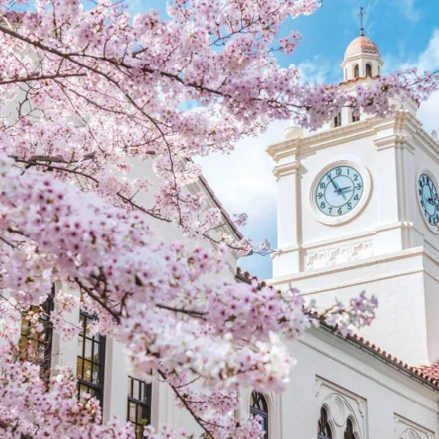 【中考家长必看】2026 上海中招政策新规 | 这条正规升学通道,可提前锁定高中录取! 第30张 【中考家长必看】2026 上海中招政策新规 | 这条正规升学通道,可提前锁定高中录取! 第30张