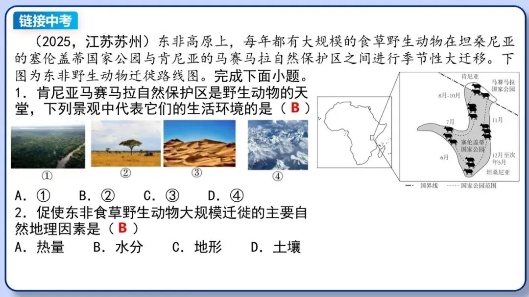 2026年中考地理复习专题八:认识大洲(湘教版) 第39张 2026年中考地理复习专题八:认识大洲(湘教版) 第39张