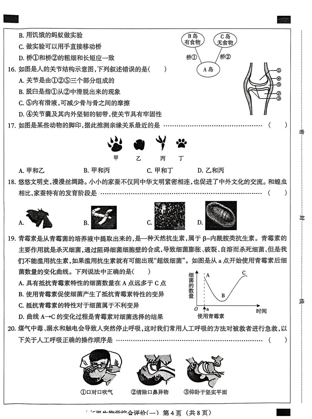 2025河北中考生物模拟卷 第4张