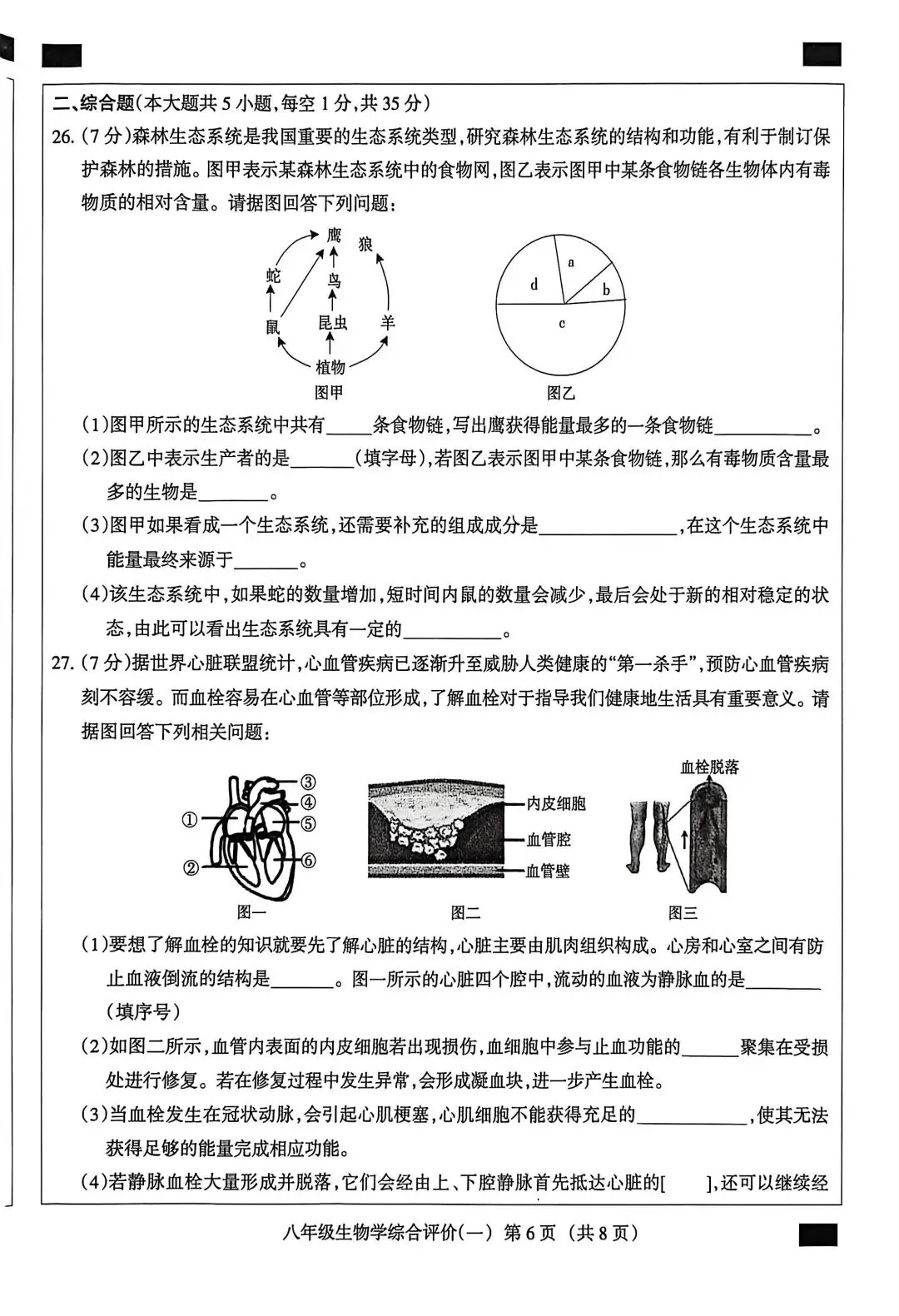 2025河北中考生物模拟卷 第6张