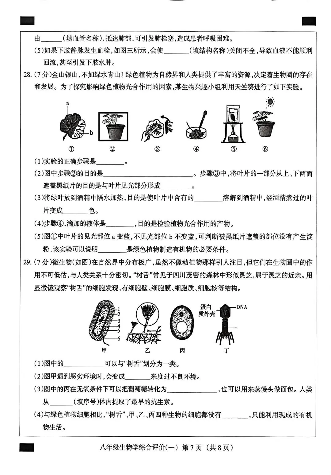 2025河北中考生物模拟卷 第7张