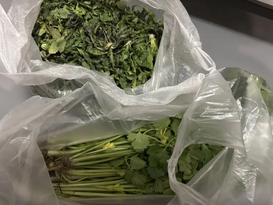 女儿中考倒计时110天—母女一起去看牙 第3张