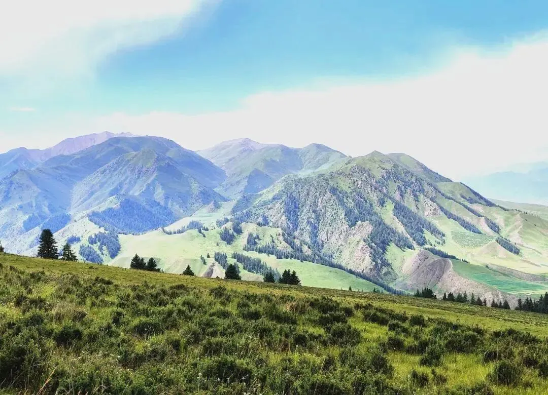 【中考阅读指导】秋至祁连山(朝颜)四川南充2025 第3张