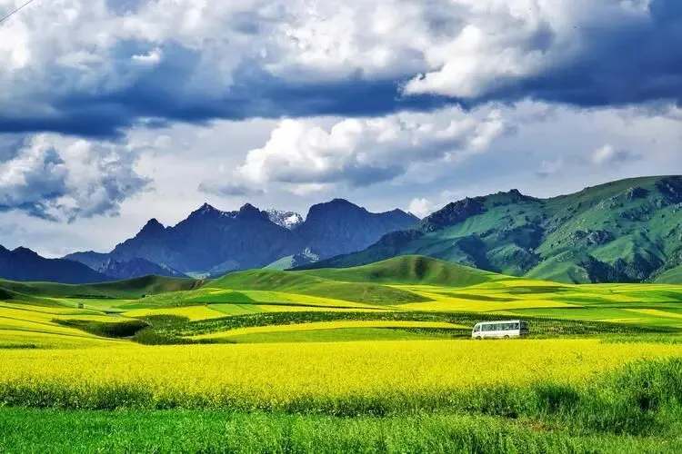 【中考阅读指导】秋至祁连山(朝颜)四川南充2025 第6张