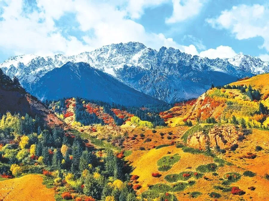 【中考阅读指导】秋至祁连山(朝颜)四川南充2025 第7张