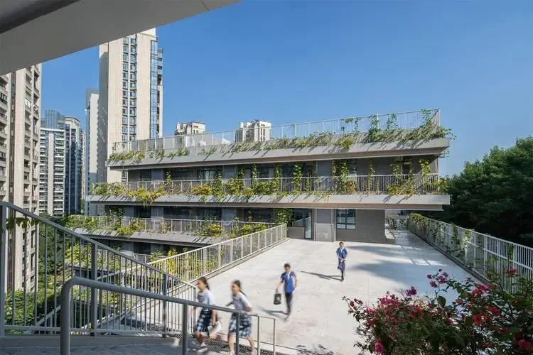 盘点福田区14所初中的中考成绩,深外第一、石厦第二? 第13张