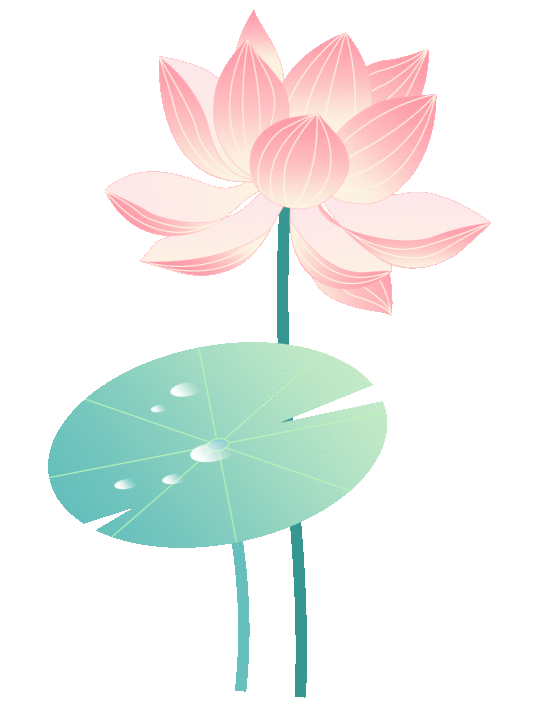 南外仙林宿迁分校介绍/历届中考分析/班级划分类型 第15张