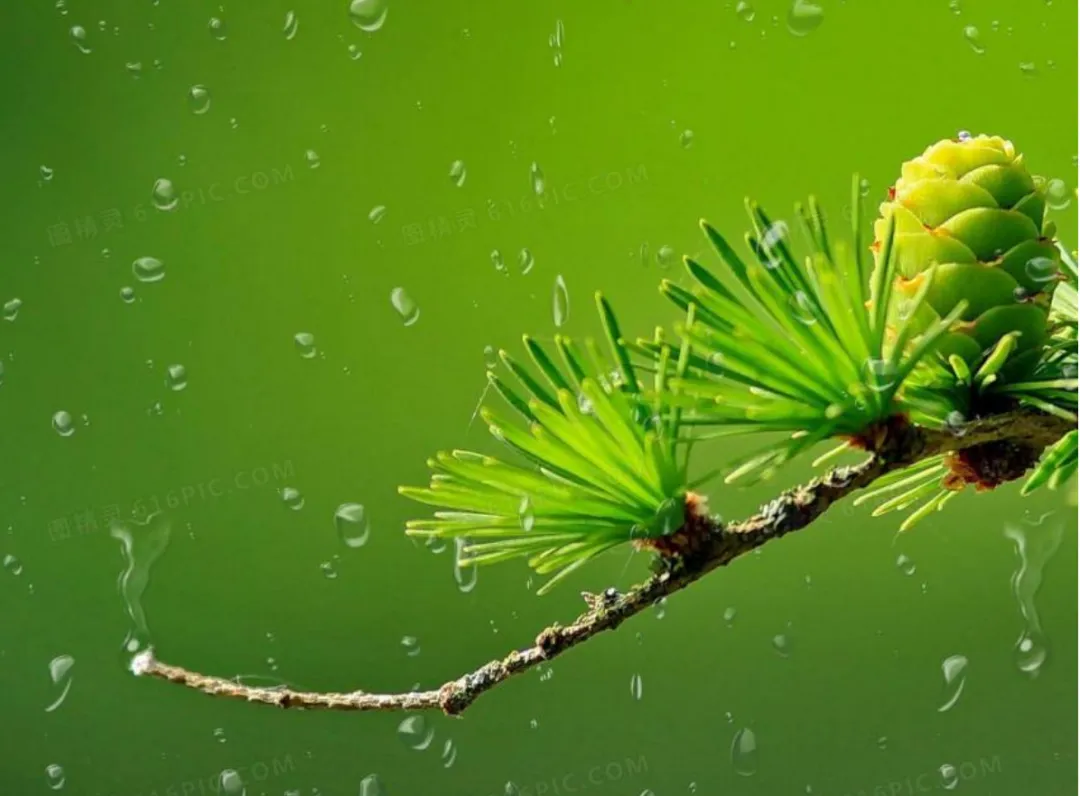 中考要报名了,这几点要注意!【2026中考扫盲9】 第9张 中考要报名了,这几点要注意!【2026中考扫盲9】 第9张