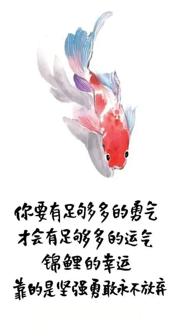 适合中考学生看的小林漫画 第20张