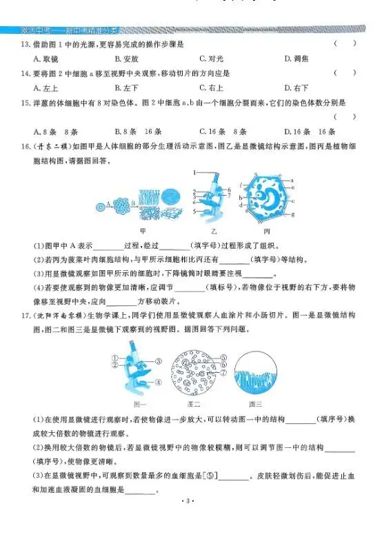 2026版中考生物《精准分类觉醒卷A版》(含答案)|可下载打印 第5张