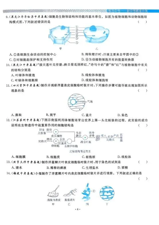 2026版中考生物《精准分类觉醒卷A版》(含答案)|可下载打印 第8张