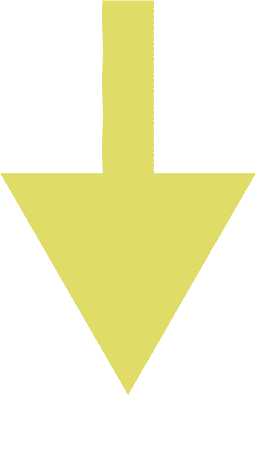 扬鞭策马 圆梦今夏——南昌九州学校中考动员会暨中考百日誓师会 第30张