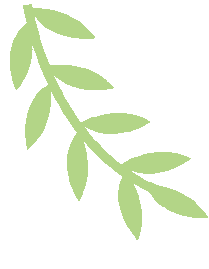 陕西一地:2026中考报名时间确定 第6张