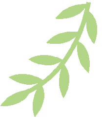 陕西一地:2026中考报名时间确定 第7张